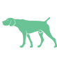 Dog size icon